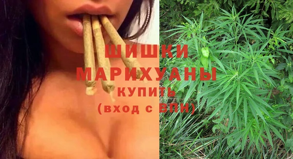 ГАЛЛЮЦИНОГЕННЫЕ ГРИБЫ Костерёво