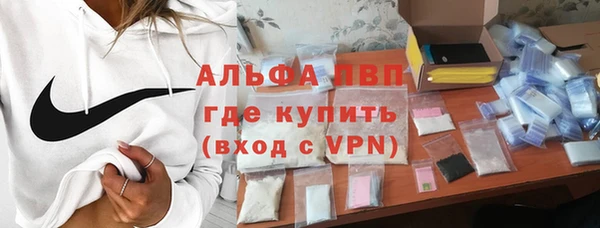 мдпв Краснослободск
