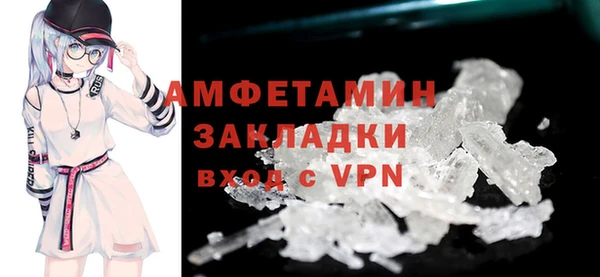 сатива Корсаков