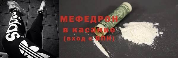 мдпв Краснослободск