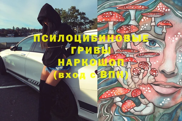 сатива Корсаков