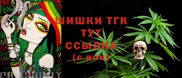 сатива Корсаков