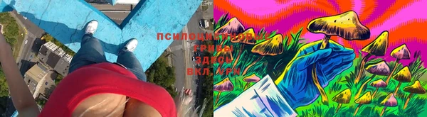мдпв Краснослободск