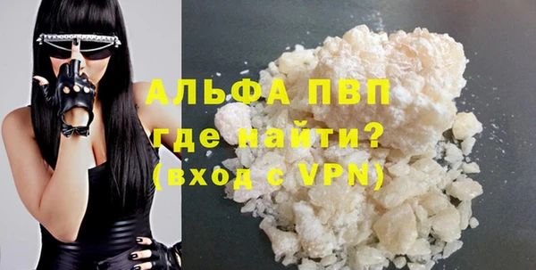 сатива Корсаков
