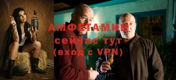 ГАЛЛЮЦИНОГЕННЫЕ ГРИБЫ Костерёво