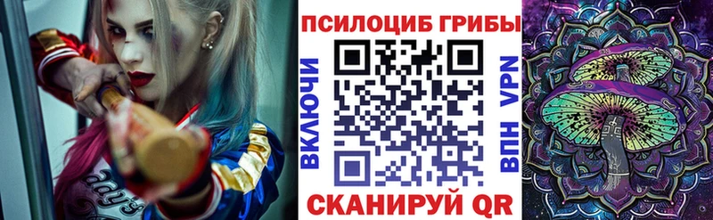 Галлюциногенные грибы ЛСД  ссылка на мегу как войти  Нерчинск 